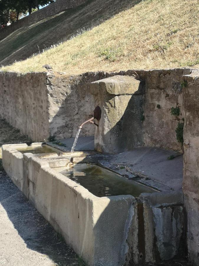 Un Petit Coin De France : A Cote De La Cite Medievale Daire Carcassonne Dış mekan fotoğraf
